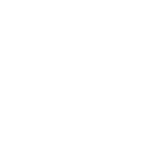 vogel
